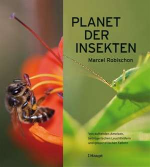 Planet der Insekten de Marcel Robischon