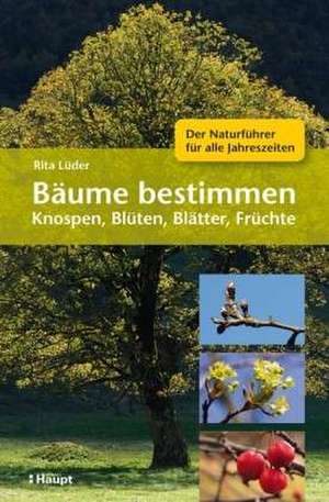 Bäume bestimmen - Knospen, Blüten, Blätter, Früchte de Rita Lüder