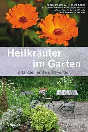 Heilkräuter im Garten de Thomas Pfister