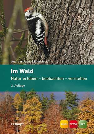 Im Wald de Andreas Jaun