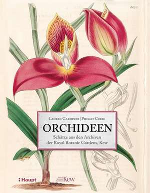 Orchideen de Lauren Gardiner