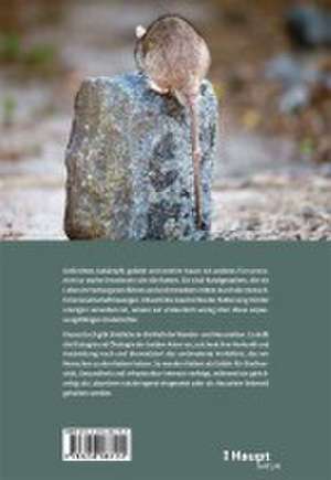 Ratten de Irene Weinberger