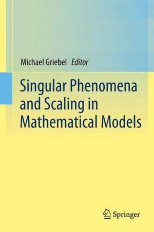 Singular Phenomena and Scaling in Mathematical Models de Michael Griebel