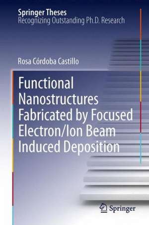 Functional Nanostructures Fabricated by Focused Electron/Ion Beam Induced Deposition de Rosa Córdoba Castillo