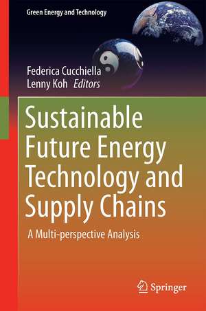 Sustainable Future Energy Technology and Supply Chains: A Multi-perspective Analysis de Federica Cucchiella