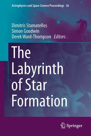 The Labyrinth of Star Formation de Dimitris Stamatellos