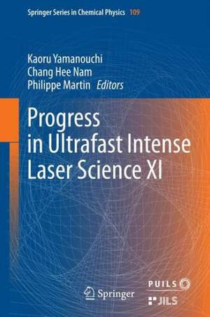 Progress in Ultrafast Intense Laser Science XI de Kaoru Yamanouchi