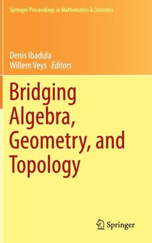 Bridging Algebra, Geometry, and Topology de Denis Ibadula