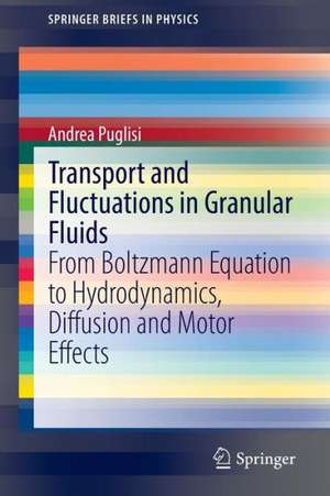 Transport and Fluctuations in Granular Fluids: From Boltzmann Equation to Hydrodynamics, Diffusion and Motor Effects de Andrea Puglisi