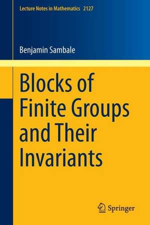 Blocks of Finite Groups and Their Invariants de Benjamin Sambale