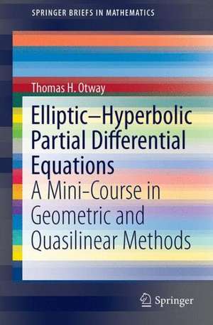 Elliptic–Hyperbolic Partial Differential Equations: A Mini-Course in Geometric and Quasilinear Methods de Thomas H. Otway