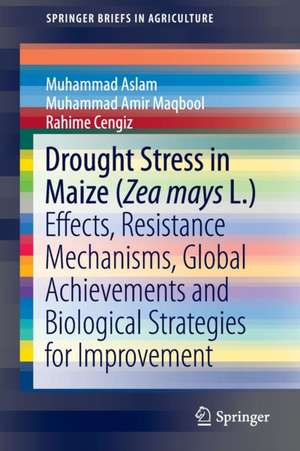 Drought Stress in Maize (Zea mays L.): Effects, Resistance Mechanisms, Global Achievements and Biological Strategies for Improvement de Muhammad Aslam