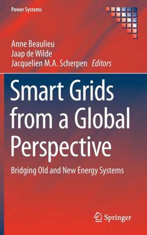 Smart Grids from a Global Perspective: Bridging Old and New Energy Systems de Anne Beaulieu