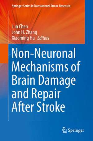 Non-Neuronal Mechanisms of Brain Damage and Repair After Stroke de Jun Chen