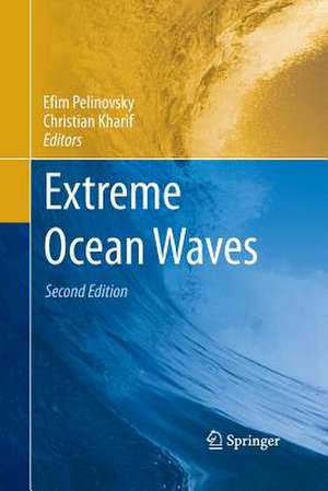 Extreme Ocean Waves de Efim Pelinovsky