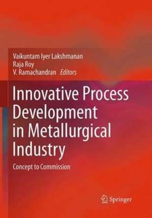 Innovative Process Development in Metallurgical Industry: Concept to Commission de Vaikuntam Iyer Lakshmanan