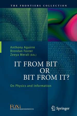 It From Bit or Bit From It? de Anthony Aguirre