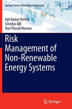 Risk Management of Non-Renewable Energy Systems de Ajit Kumar Verma