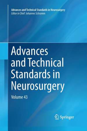 Advances and Technical Standards in Neurosurgery: Volume 43 de Johannes Schramm