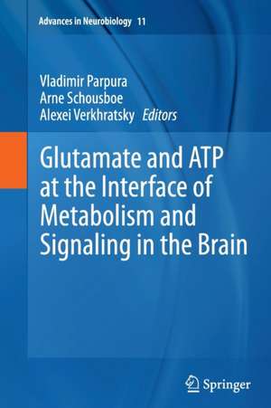 Glutamate and ATP at the Interface of Metabolism and Signaling in the Brain de Vladimir Parpura