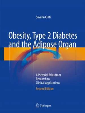 Obesity, Type 2 Diabetes and the Adipose Organ: A Pictorial Atlas from Research to Clinical Applications de Saverio Cinti