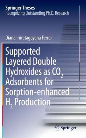 Supported Layered Double Hydroxides as CO2 Adsorbents for Sorption-enhanced H2 Production de Diana Iruretagoyena Ferrer