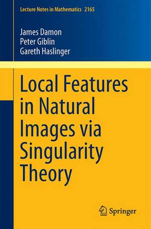 Local Features in Natural Images via Singularity Theory de James Damon