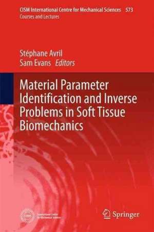 Material Parameter Identification and Inverse Problems in Soft Tissue Biomechanics de Stéphane Avril