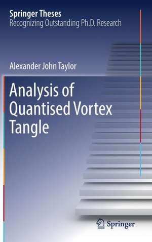 Analysis of Quantised Vortex Tangle de Alexander John Taylor