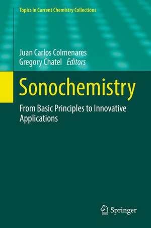 Sonochemistry: From Basic Principles to Innovative Applications de Juan Carlos Colmenares