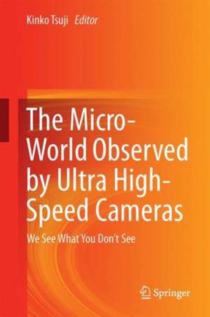 The Micro-World Observed by Ultra High-Speed Cameras: We See What You Don’t See de Kinko Tsuji