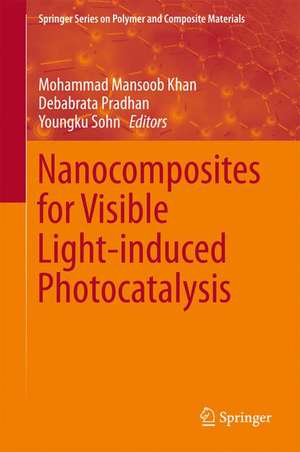 Nanocomposites for Visible Light-induced Photocatalysis de Mohammad Mansoob Khan