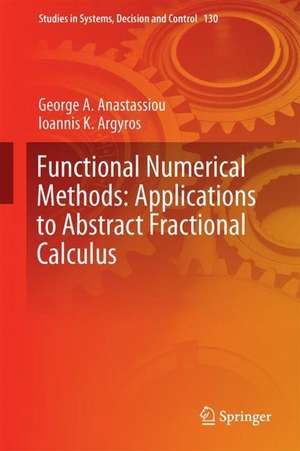 Functional Numerical Methods: Applications to Abstract Fractional Calculus de George A. Anastassiou