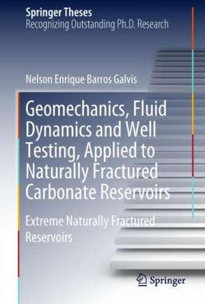 Geomechanics, Fluid Dynamics and Well Testing, Applied to Naturally Fractured Carbonate Reservoirs: Extreme Naturally Fractured Reservoirs de Nelson Enrique Barros Galvis