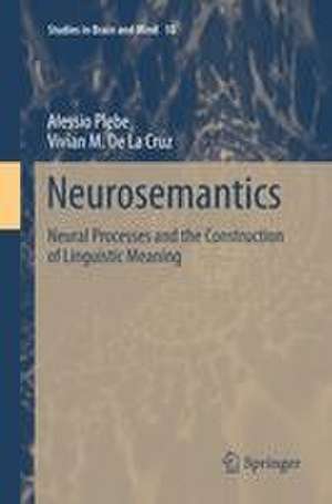 Neurosemantics de Alessio Plebe