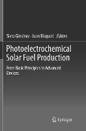 Photoelectrochemical Solar Fuel Production: From Basic Principles to Advanced Devices de Sixto Giménez