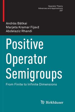 Positive Operator Semigroups: From Finite to Infinite Dimensions de András Bátkai