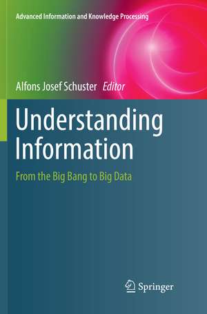 Understanding Information de Alfons Josef Schuster