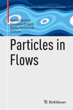 Particles in Flows de Tomáš Bodnár