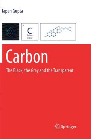 Carbon de Tapan Gupta