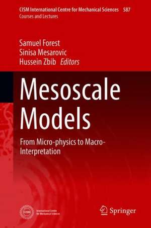 Mesoscale Models: From Micro-Physics to Macro-Interpretation de Sinisa Mesarovic