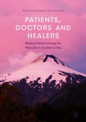 Patients, Doctors and Healers: Medical Worlds among the Mapuche in Southern Chile de Dorthe Brogård Kristensen