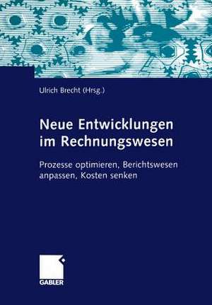 Neue Entwicklungen im Rechnungswesen: Prozesse optimieren, Berichtswesen anpassen, Kosten senken de Ulrich Brecht