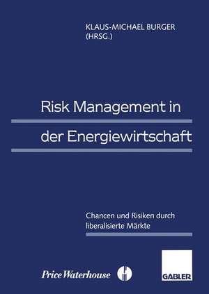 Risk Management in der Energiewirtschaft: Chancen und Risiken durch liberalisierte Märkte de Klaus-Michael Burger