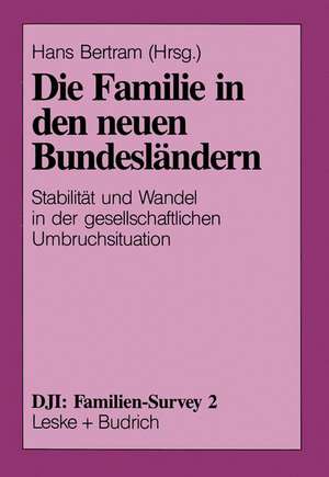 Die Familie in den neuen Bundesländern: Stabilität und Wandel in der gesellschaftlichen Umbruchsituation de Hans Bertram