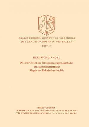 Die Entwicklung der Stromerzeugungsmöglichkeiten und das unternehmerische Wagnis der Elektrizitätswirtschaft de Heinrich Mandel