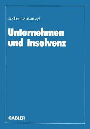 Unternehmen und Insolvenz: Zur effizienten Gestaltung des Kreditsicherungs- und Insolvenzrechts de Jochen Drukarczyk