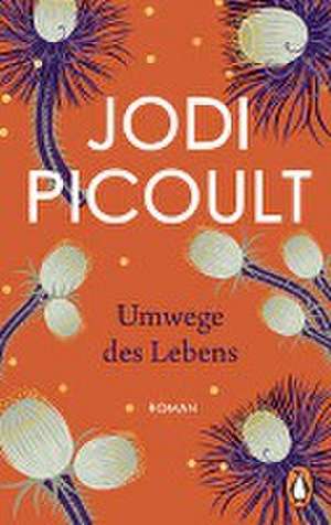 Umwege des Lebens de Jodi Picoult