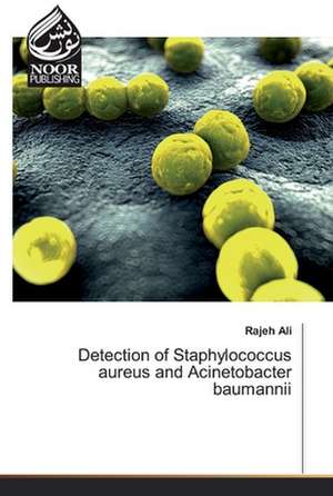 Detection of Staphylococcus aureus and Acinetobacter baumannii de Rajeh Ali