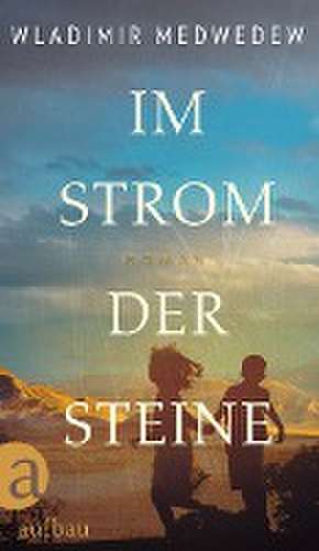 Im Strom der Steine de Wladimir Medwedew